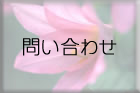 問い合わせ